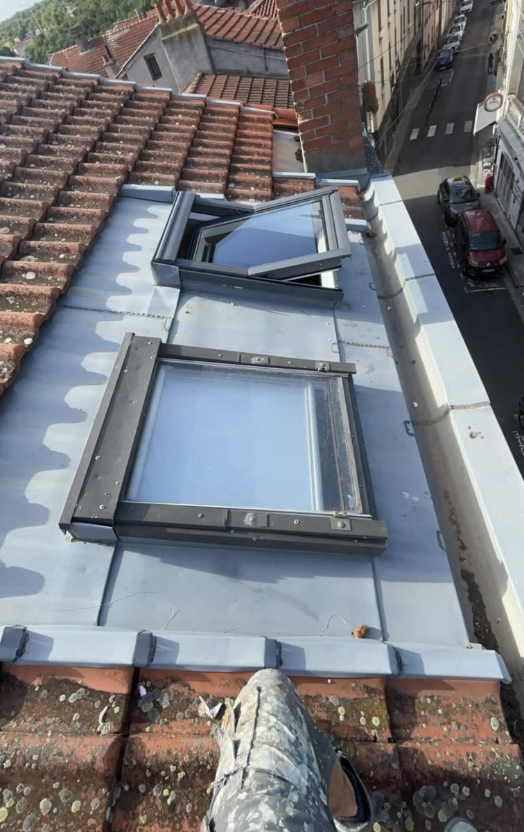 Velux Avant